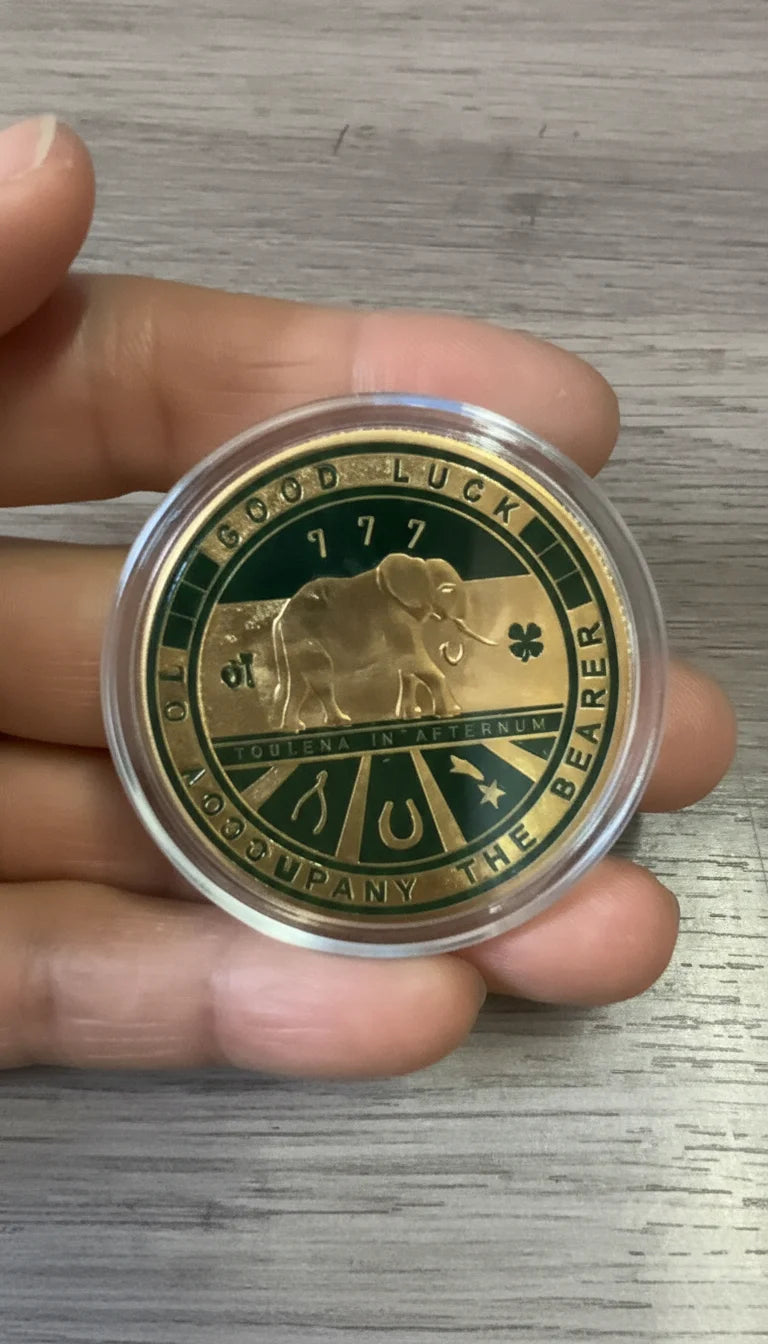 Lucky Four Leaf Clover Painted Coin 4cm Round Metal Souvenir Challenge Commemorative Coin for Home Decor