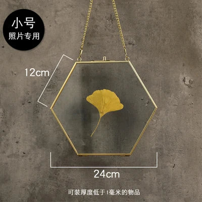Hexagonal Glass Storage Box Coin Collection Box Photo Frame Specimen Holder Picture Frame Photo Rack Display Stand Organizer
